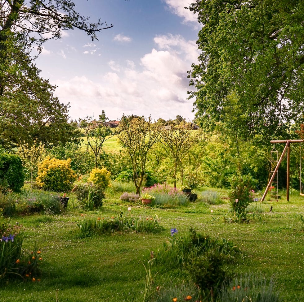 beautiful garden with lush lawn