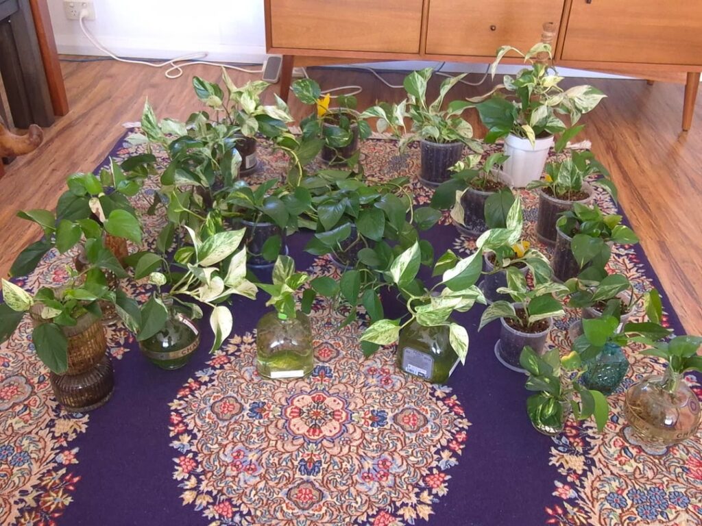 All of my surviving props All of my surviving props