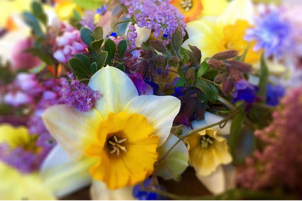 Best in Bloom contest to highlight View Royal’s top gardens “We want to see how View Royal is in bloom,” says the town. (Black Press Media file photo)