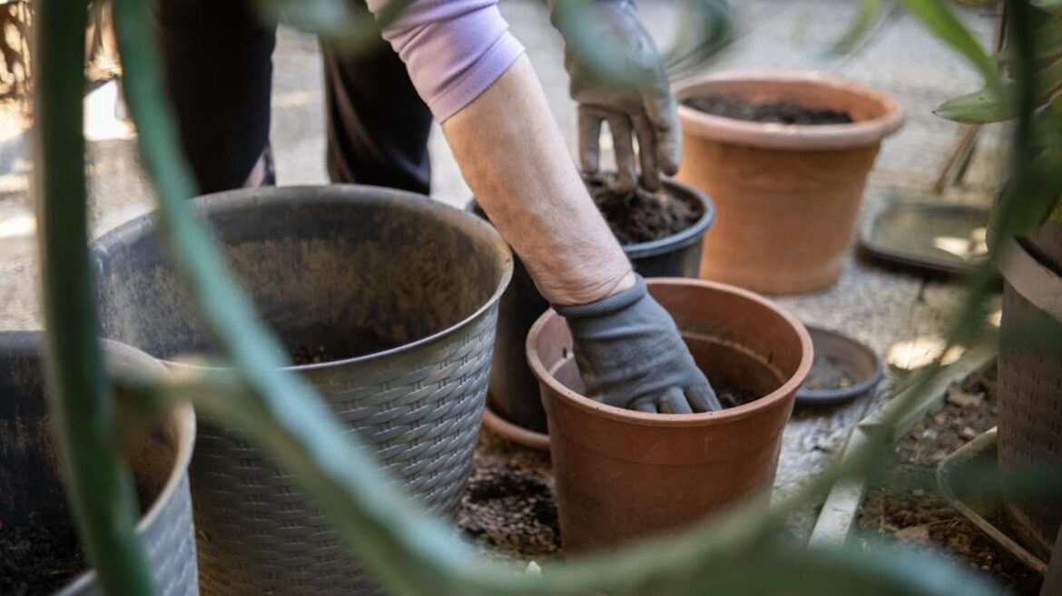 This Best-Selling Planter From Walmart Is A Must For Your Vegetable Garden This Best-Selling Planter From Walmart Is A Must For Your Vegetable Garden
