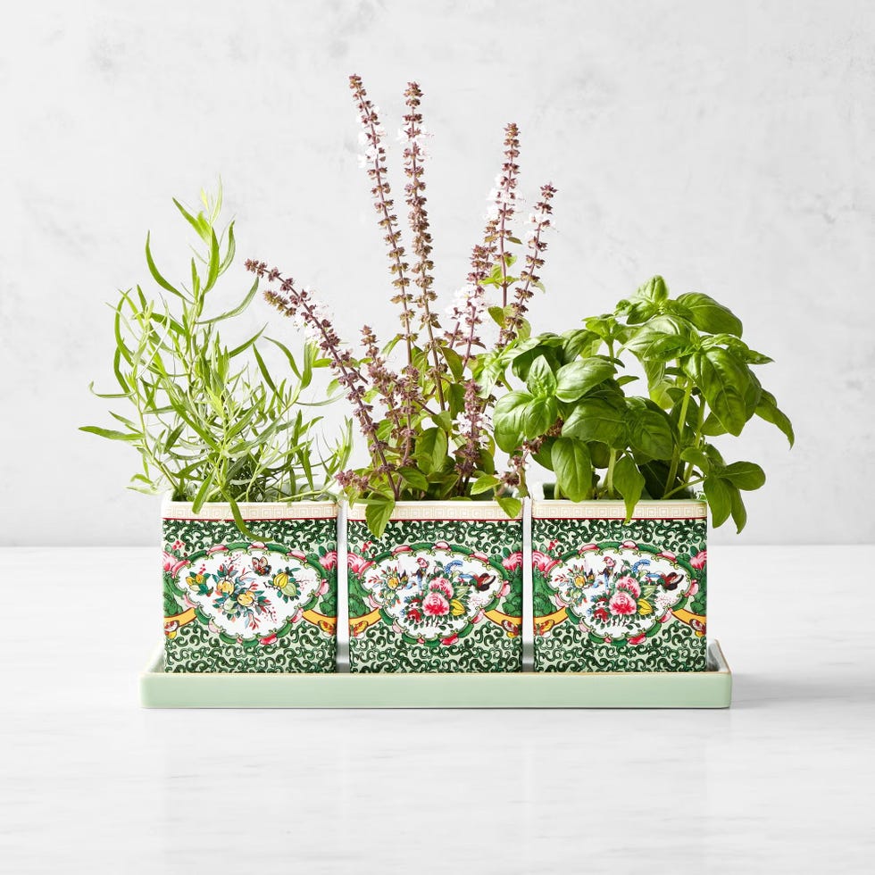 Famille Rose Herb Planter