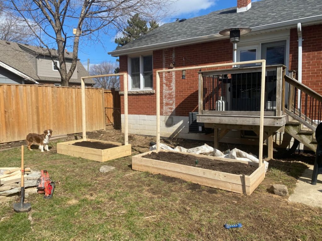 First raised garden bed using SFG method