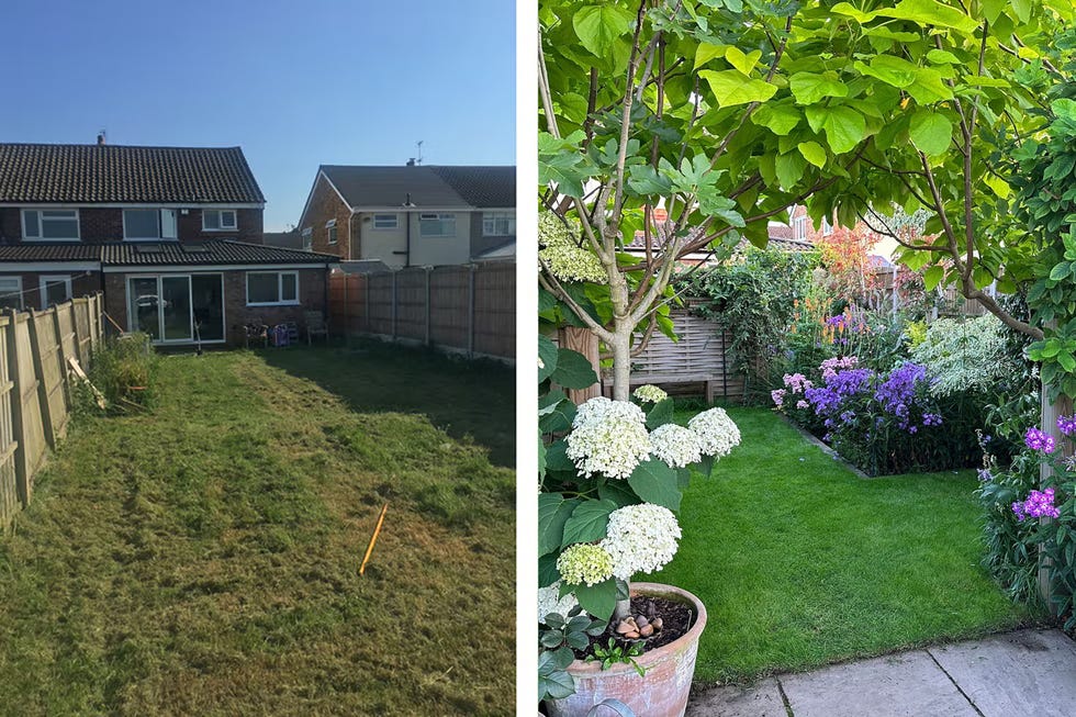 Before and after garden transformation privacy neighbours before and after garden transformation privacy neighbours