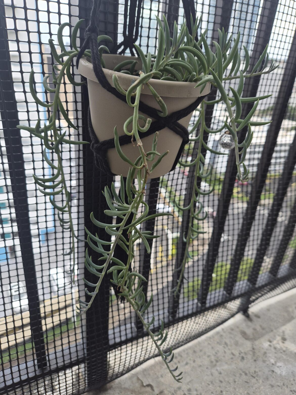 Some fishhook love for my growing boy