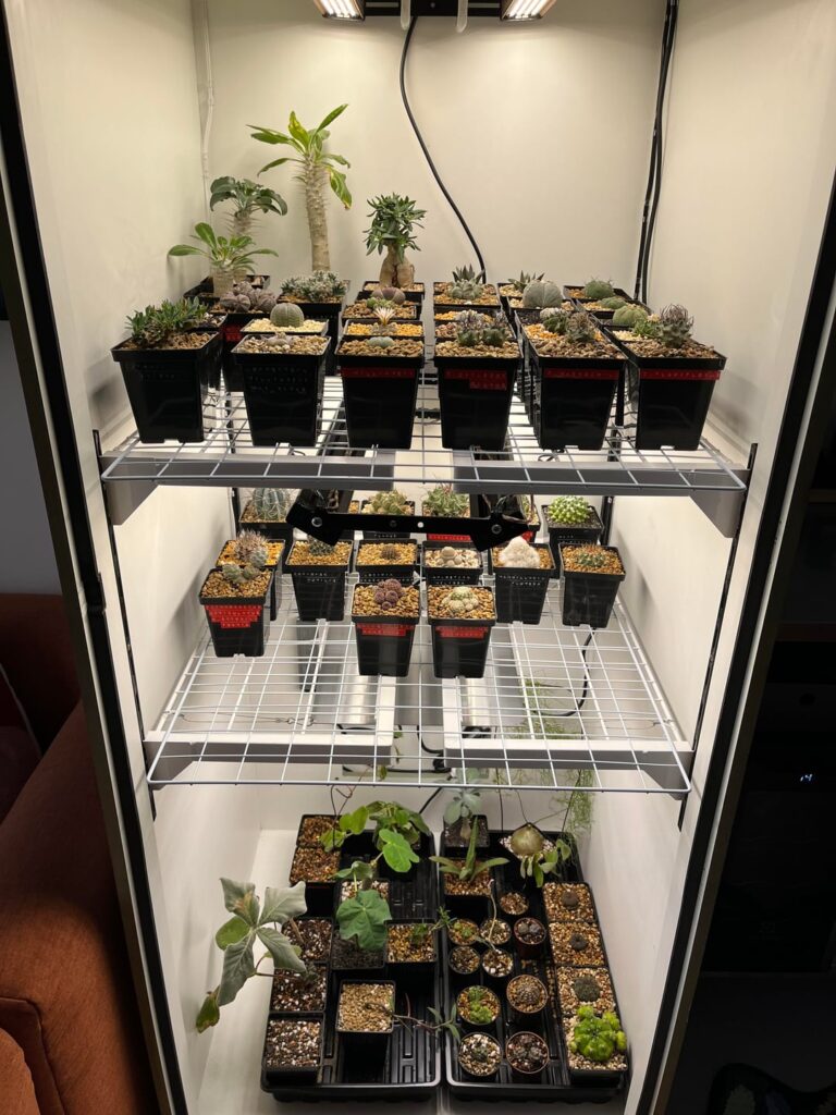fully committed to the hobby