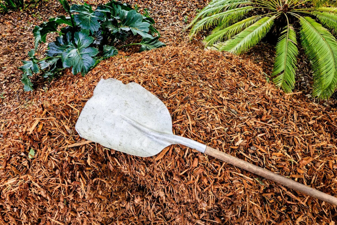 I’m a Home Expert: This Is the Biggest Mulching Mistake Gardeners Make I'm a Home Expert: This Is the Biggest Mulching Mistake Gardeners Make