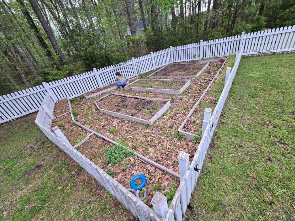 Reclamation progress