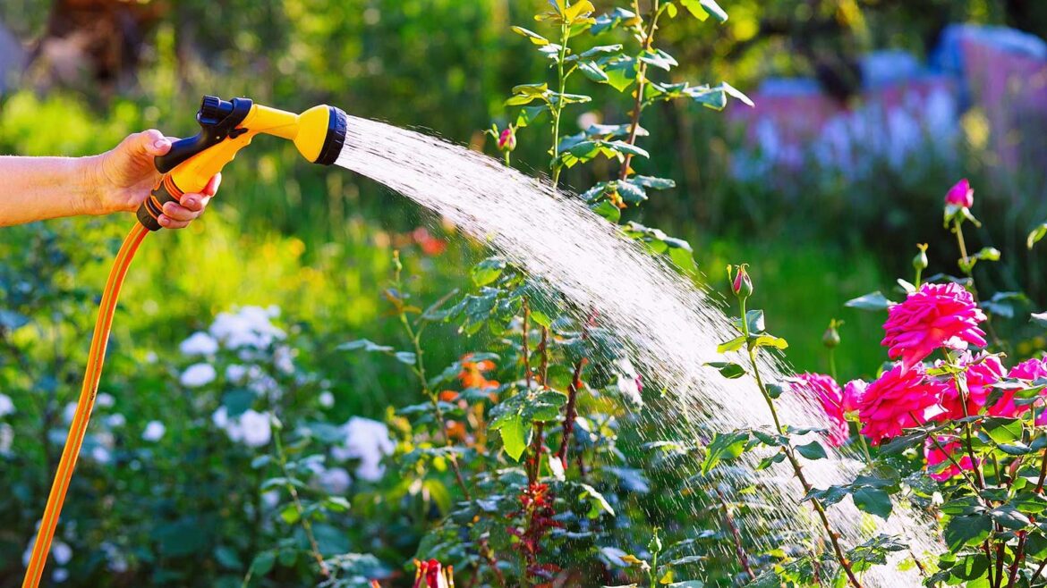 Wayfair’s Hose Pot Will Instantly Make Your Yard Look Tidier watering plants with a hose