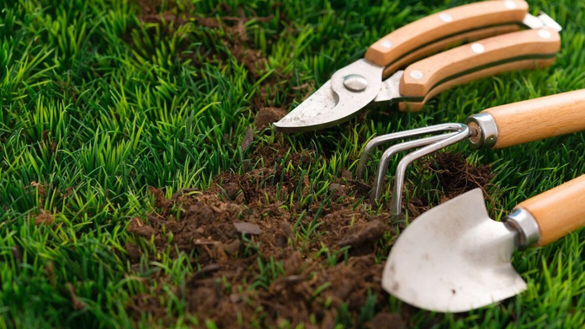 Shoppers Say This Gardening Hand Tool is ‘Much… Shoppers Say This Gardening Hand Tool is 'Much…