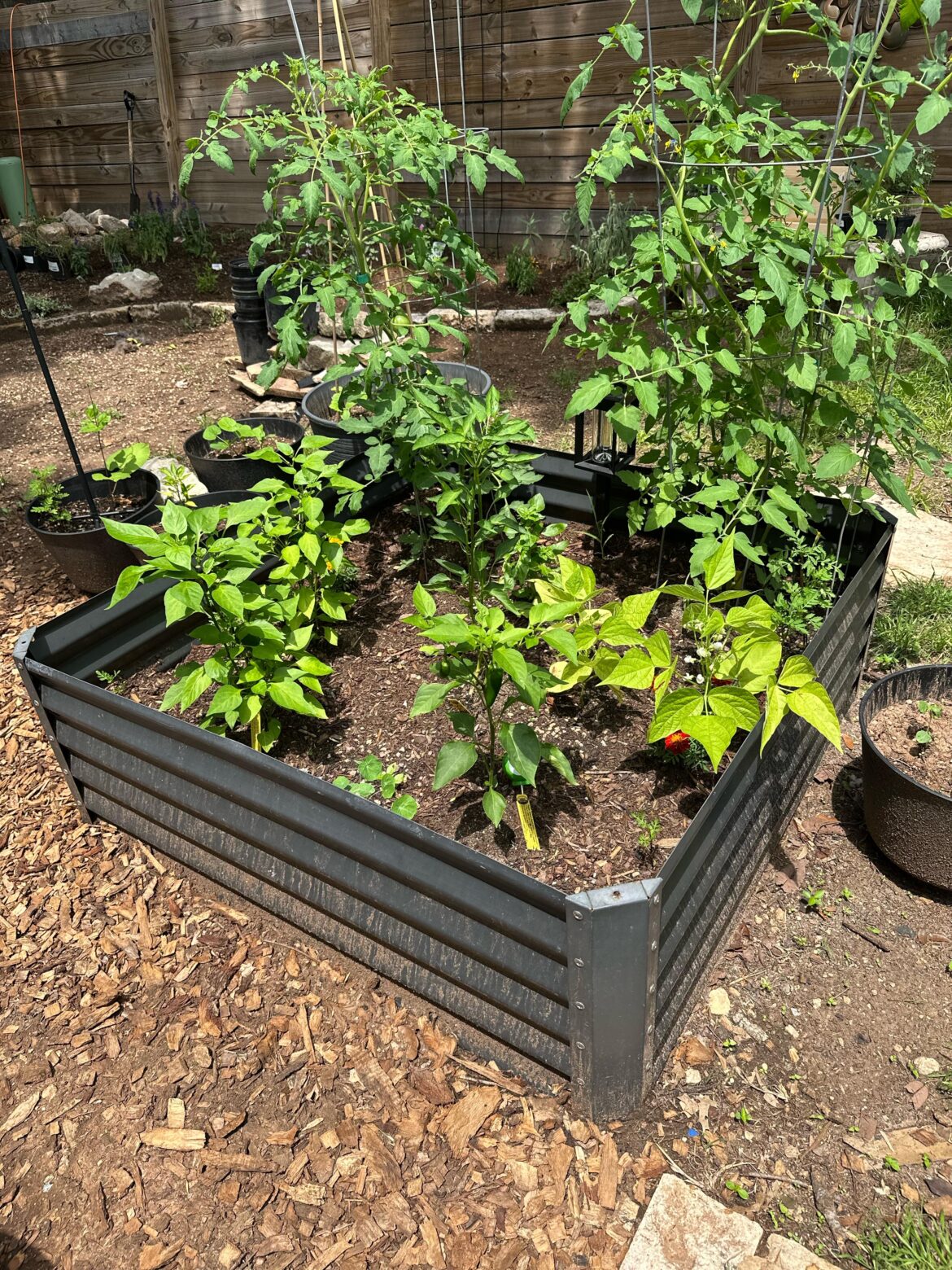 Mulch for veggies