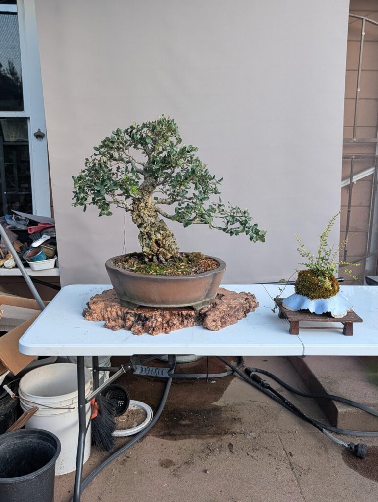 Working on my displays for upcoming show