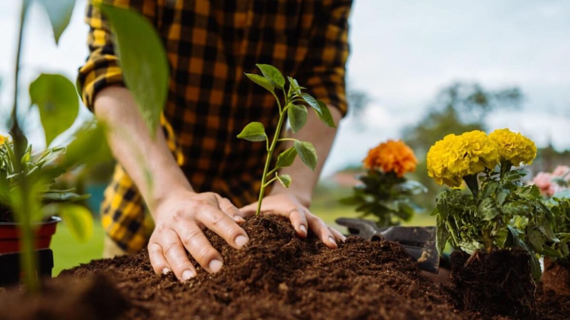 What to Plant in April (A Zone-by-Zone Guide) What to Plant in April (A Zone-by-Zone Guide)