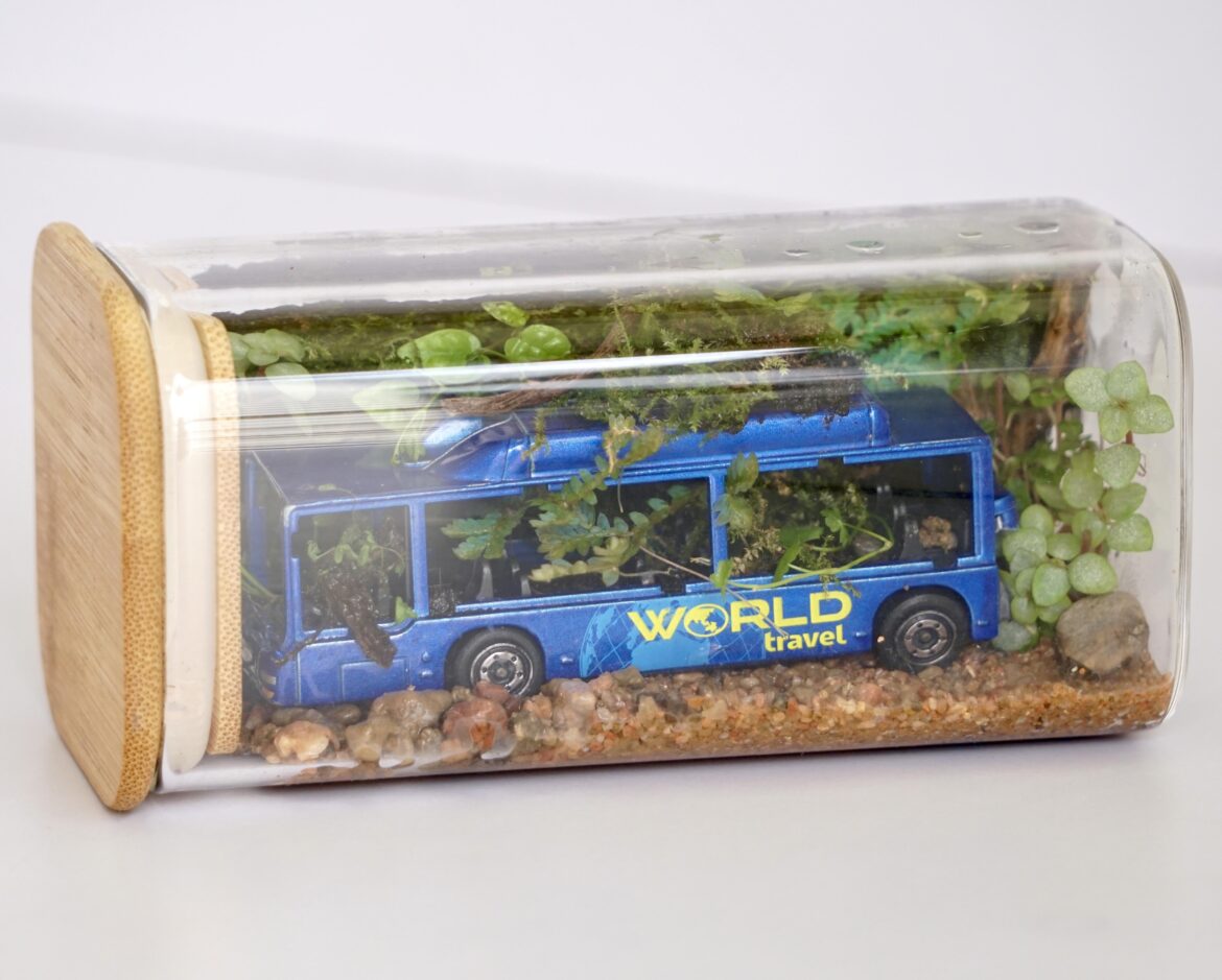 Turning random things into terrarium…this time a toy bus