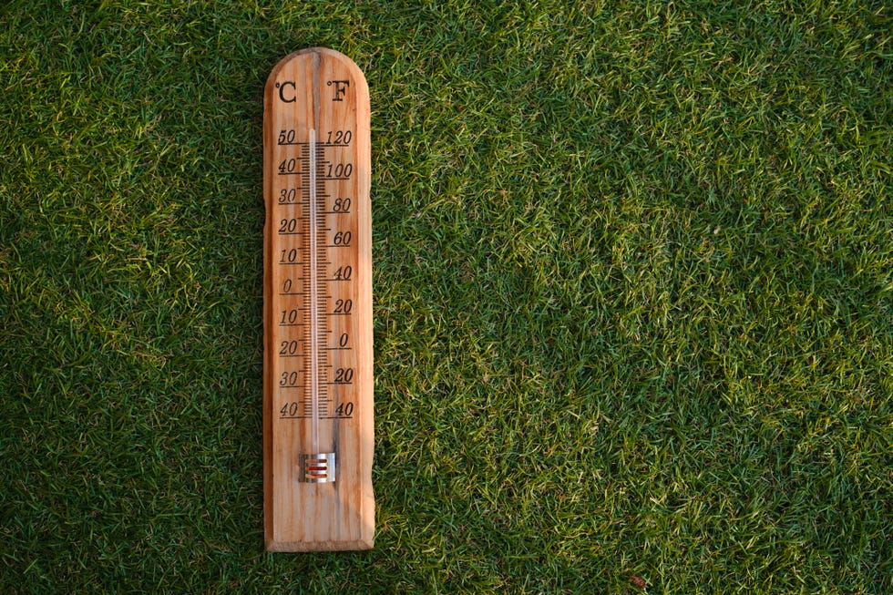 Thermometer showing extreme high temperature on green grass Thermometer showing extreme high temperature on green grass