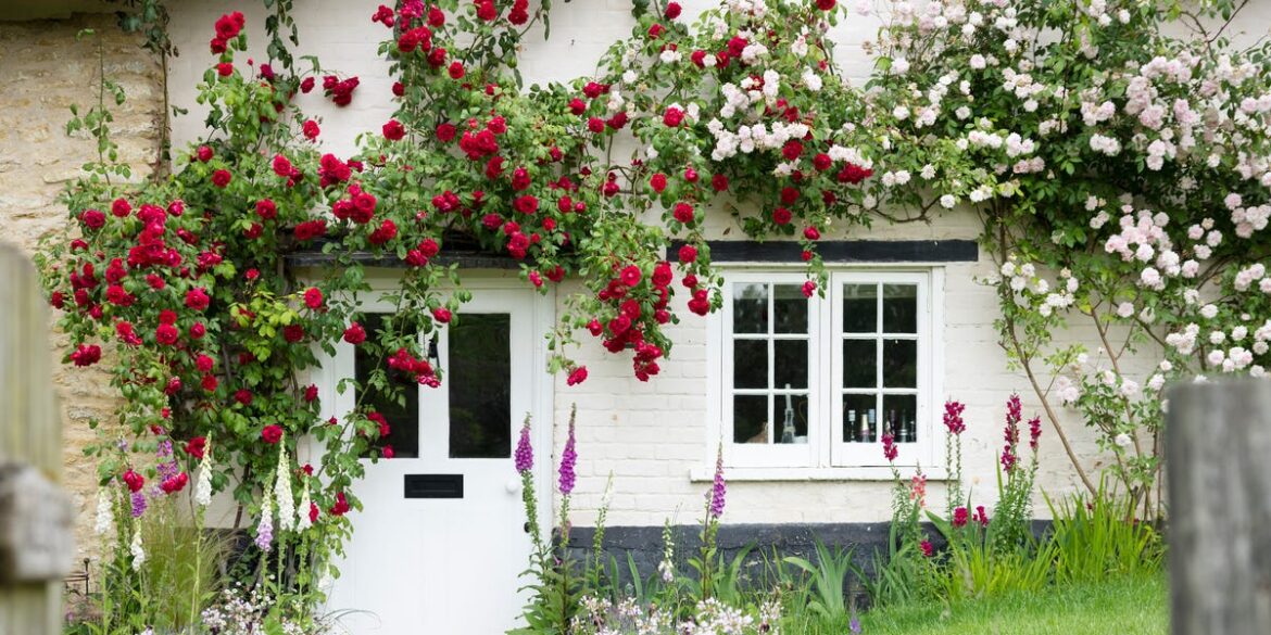 8 Inspiring Ways To Create A Welcoming Entrance – Including Pretty Climbers 8 Inspiring Ways To Create A Welcoming Entrance – Including Pretty Climbers