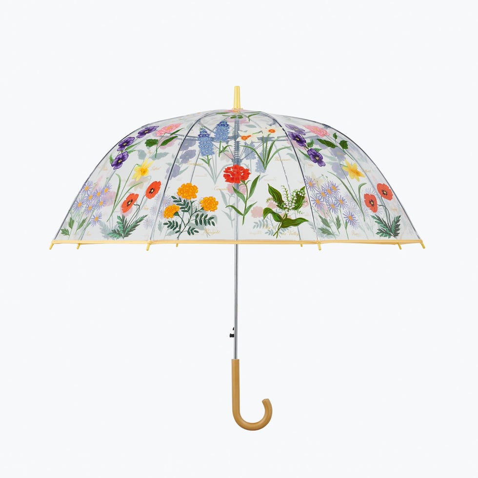 Umbrella Umbrella