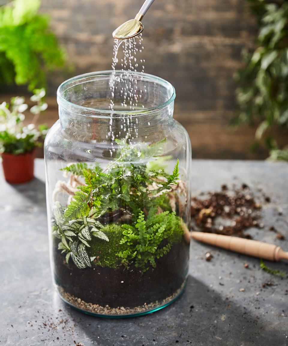Person watering a terrarium
