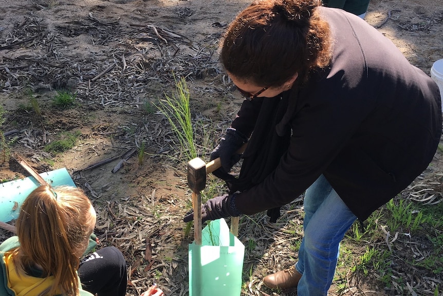 A woman and student work to plant a tree near a creek. 