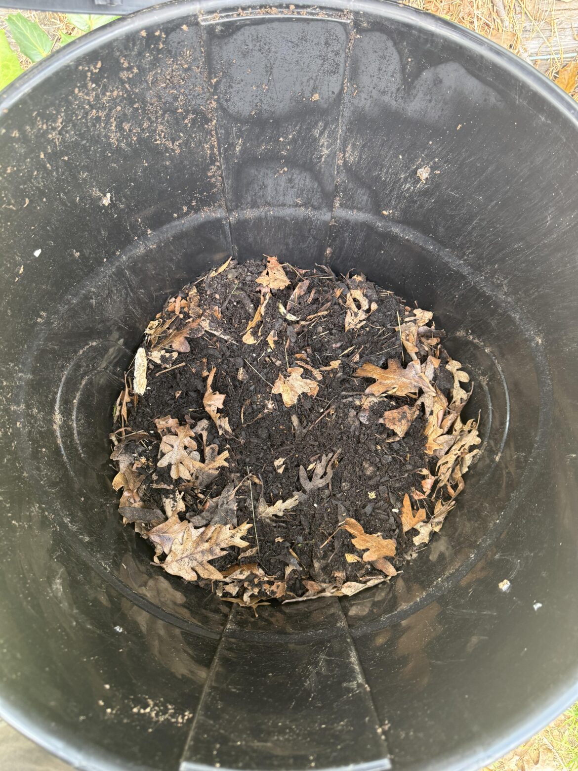 First Compost Pile