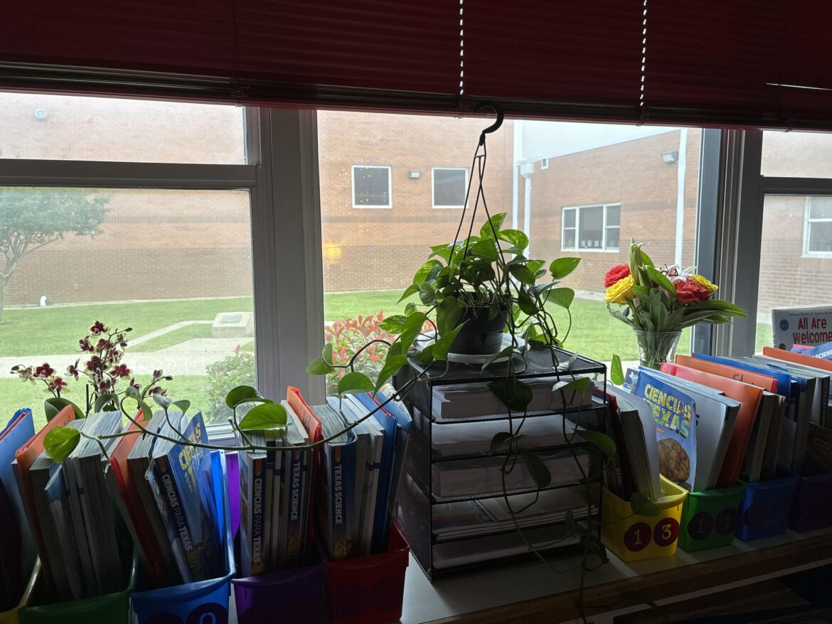 Do plants grow faster around a lot of people? My mom is a teacher and she has had several plants. Whenever she brings them home, they usually don’t last very long, but when she keeps them in her classroom with her students, they grow very quickly and last longer. Is there any reason for this? Do plants grow faster around a lot of people? My mom is a teacher and she has had several plants. Whenever she brings them home, they usually don't last very long, but when she keeps them in her classroom with her students, they grow very quickly and last longer. Is there any reason for this?