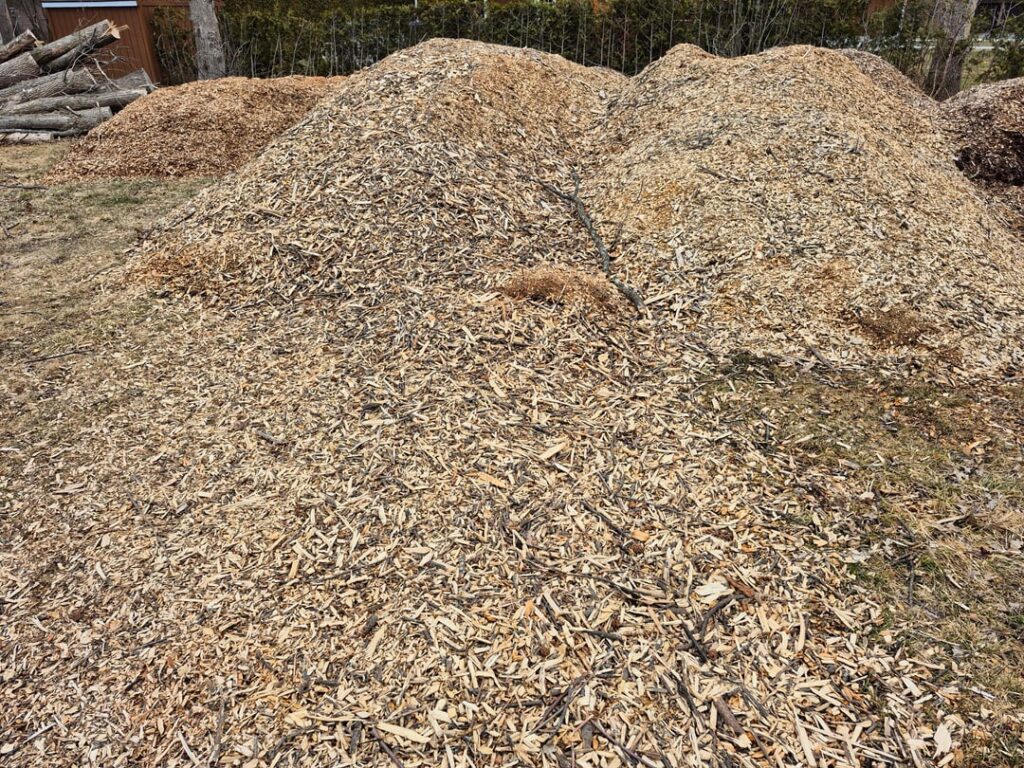 Instead of my piles, I wanted to share my carbon hoarding Instead of my piles, I wanted to share my carbon hoarding