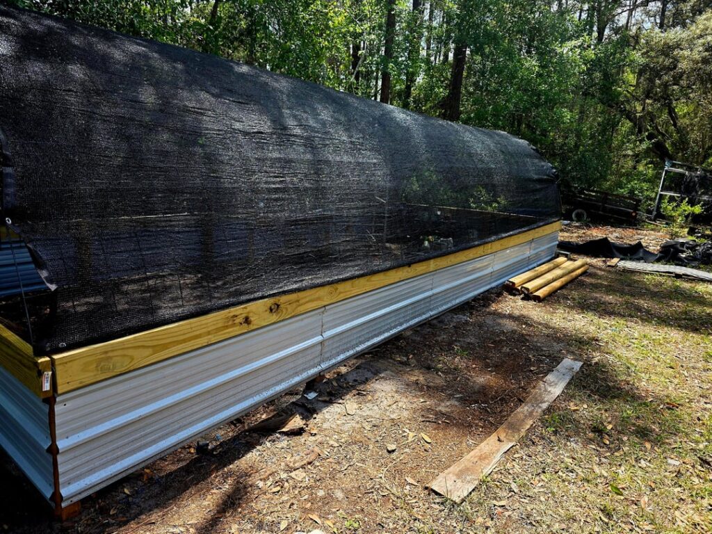 Update on cattle panels greenhouse Update on cattle panels greenhouse