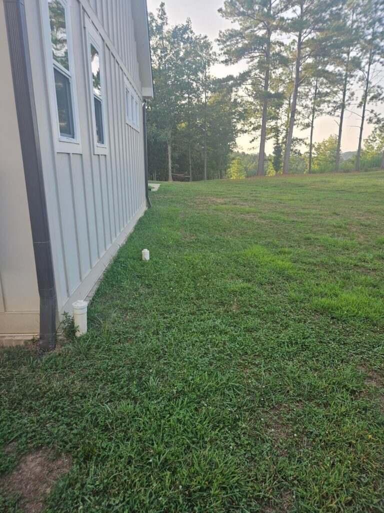 Before and after pics of my first full design/installation!