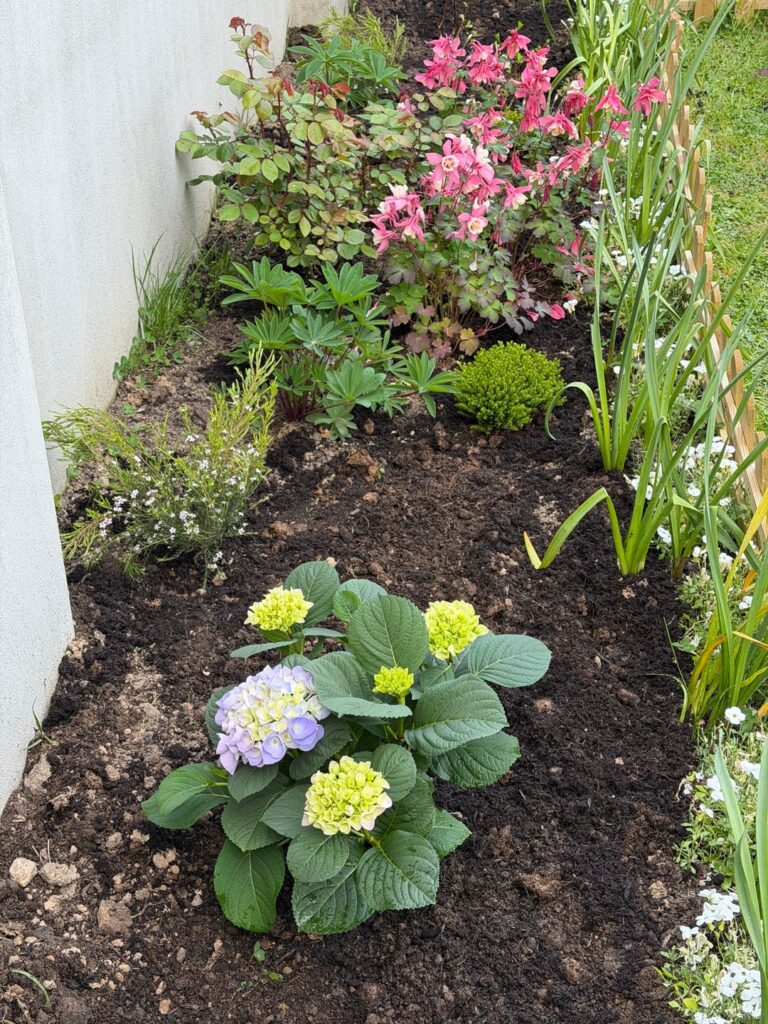 Update to my last post: My garden is absolutely thriving and I can’t wait for summer now! Update to my last post: My garden is absolutely thriving and I can’t wait for summer now!