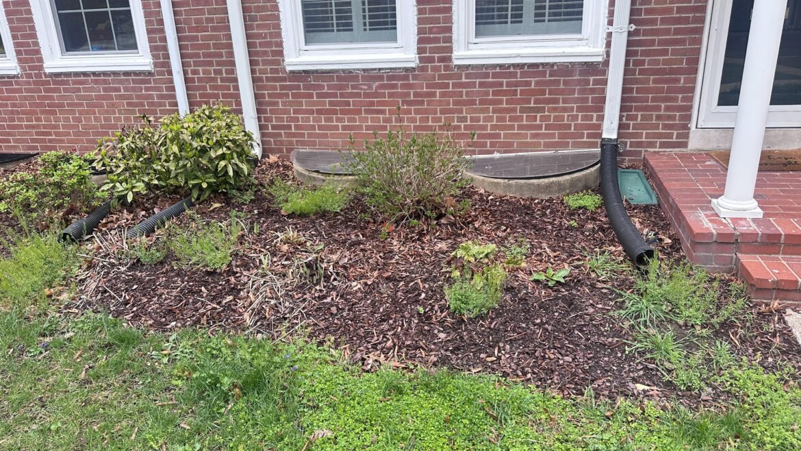 Front Yard Help Needed