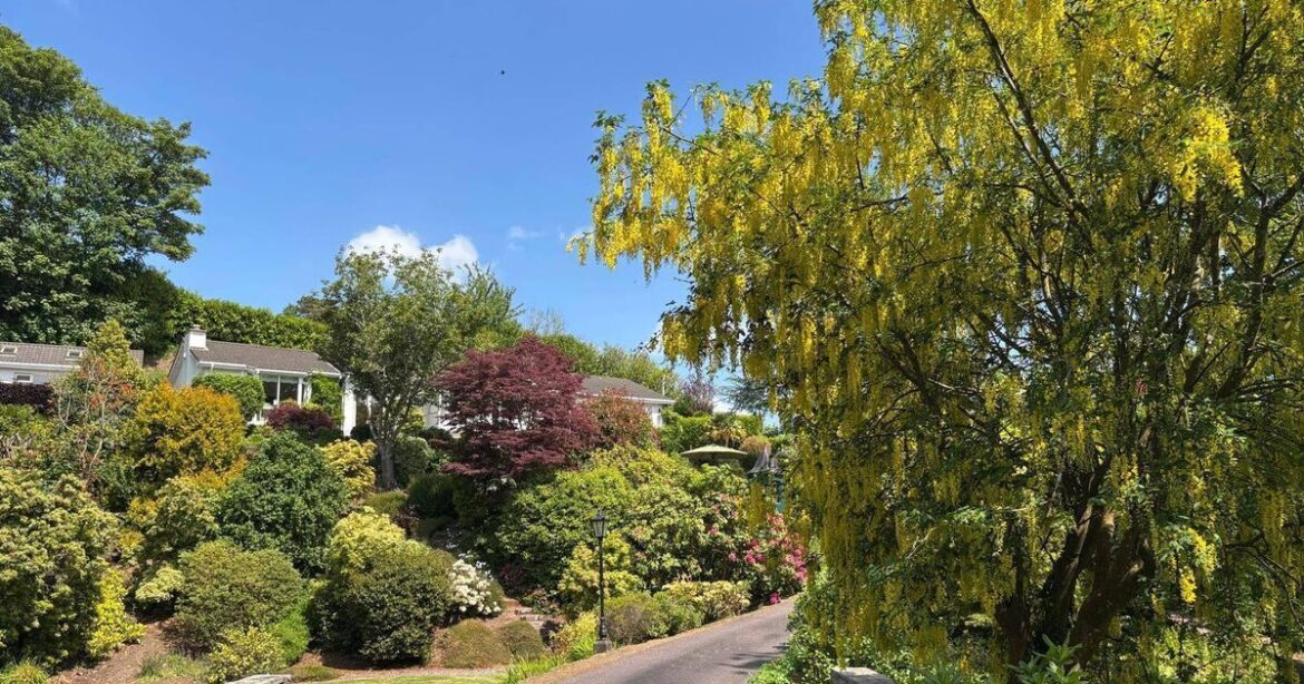 Fota-style gardens and a trio of extensions boost the allure of Feeney family home in Farran 