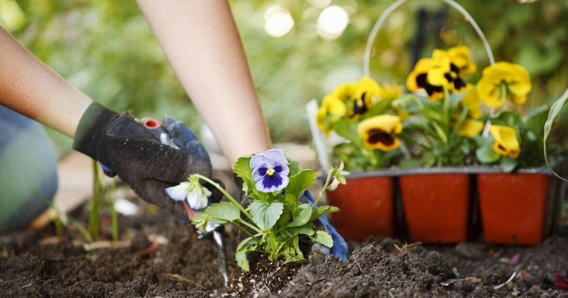 Events to help you to enjoy your green spaces Events to help you to enjoy your green spaces