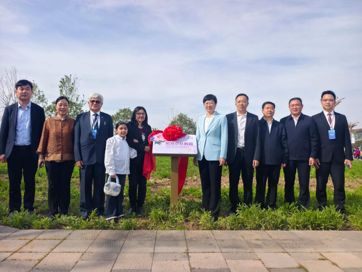 Heze launches ‘Universal Blossoms’ project, unveils Nepal rhododendron garden Heze launches ‘Universal Blossoms’ project, unveils Nepal rhododendron garden