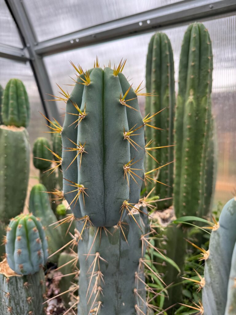 These caught my eye today