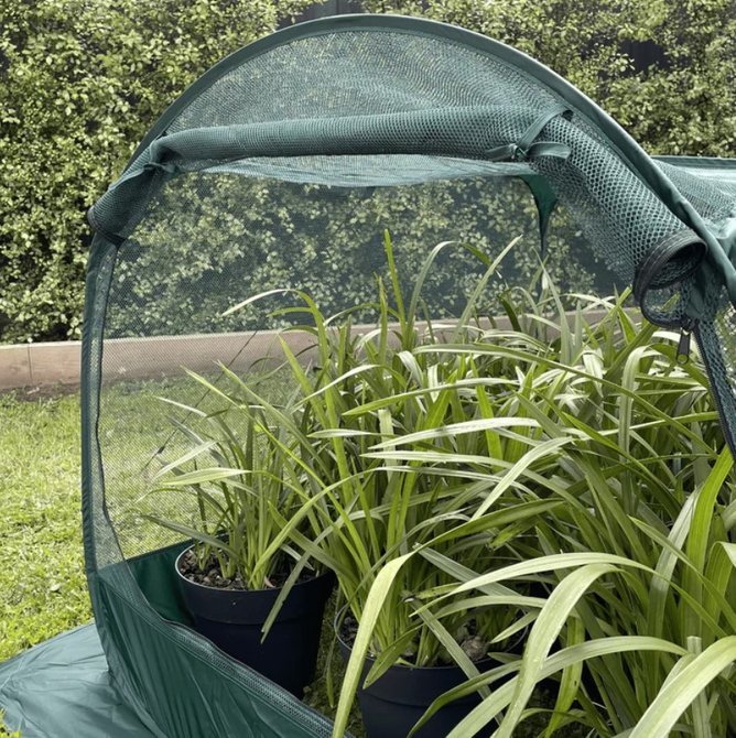 Net Garden Cover from Maze.