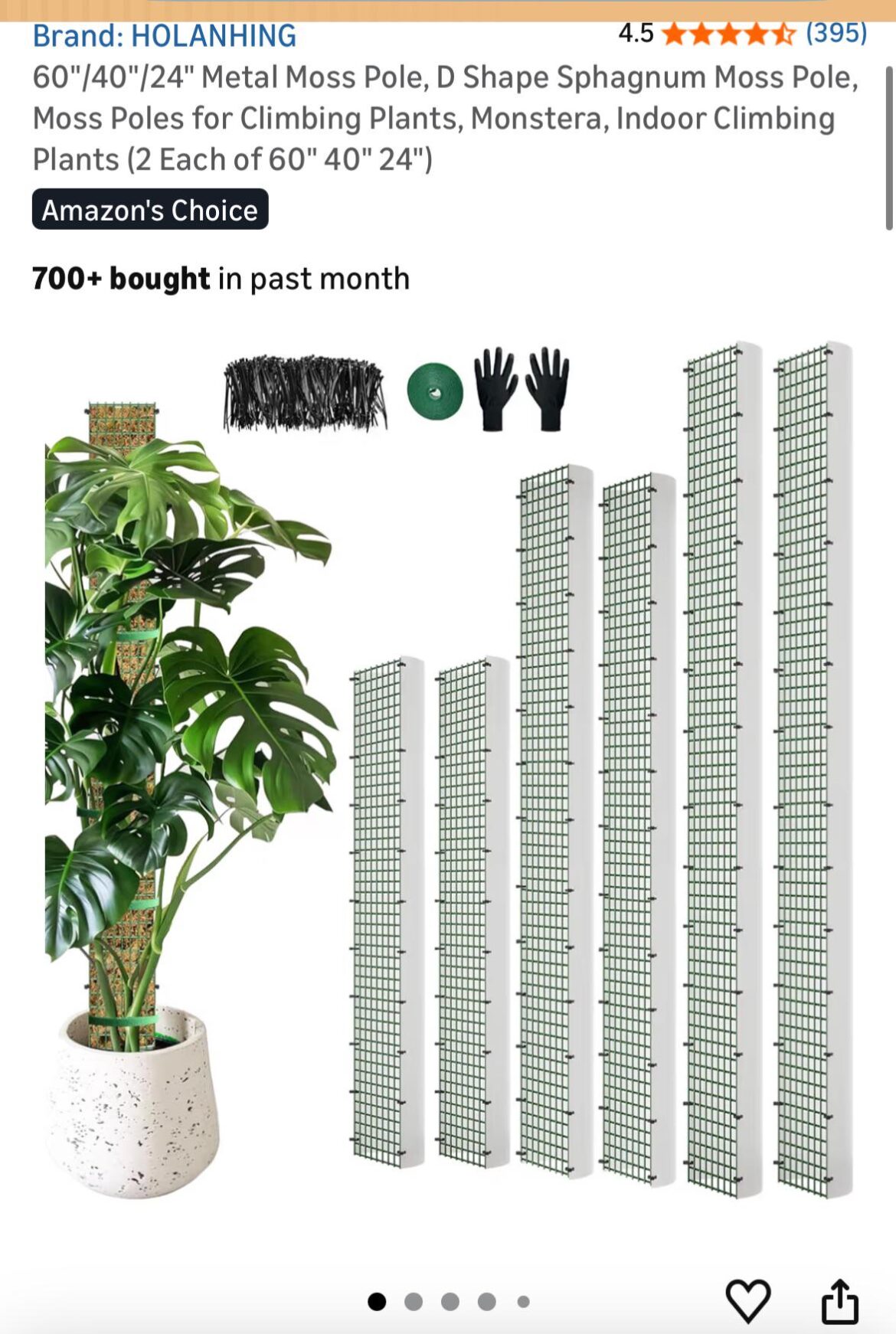 Please help!! How in the world do I pot with this moss pole? No stakes I’m really struggling, first time using this