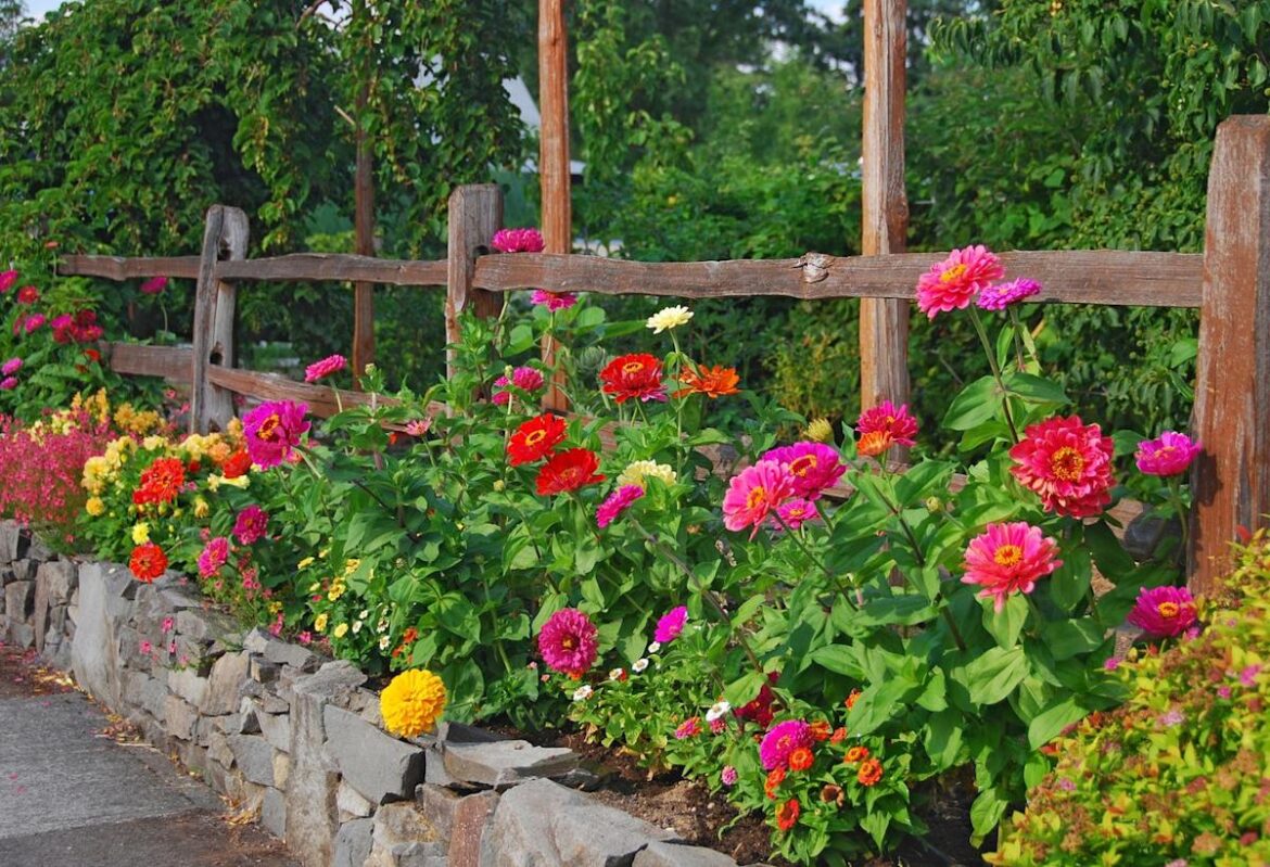 24 Beautiful Flowers That Any Beginner Can Grow