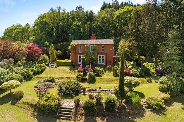 Ambassador’s Wicklow home is living proof of his gardening talent and love of plants Ambassador’s Wicklow home is living proof of his gardening talent and love of plants