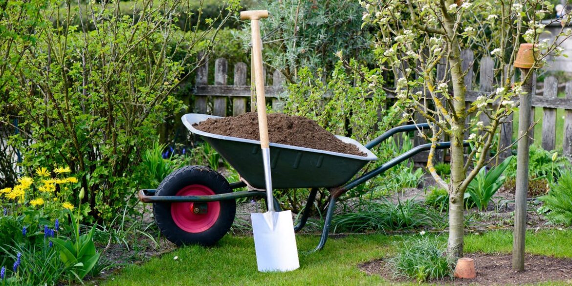 6 Plants to Fertilize Now for Bigger Blooms and Lush Growth 6 Plants to Fertilize Now for Bigger Blooms and Lush Growth
