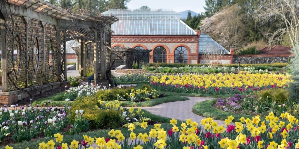 How to Grow Tulips the Right Way, According to a Gardening Expert How to Grow Tulips the Right Way, According to a Gardening Expert