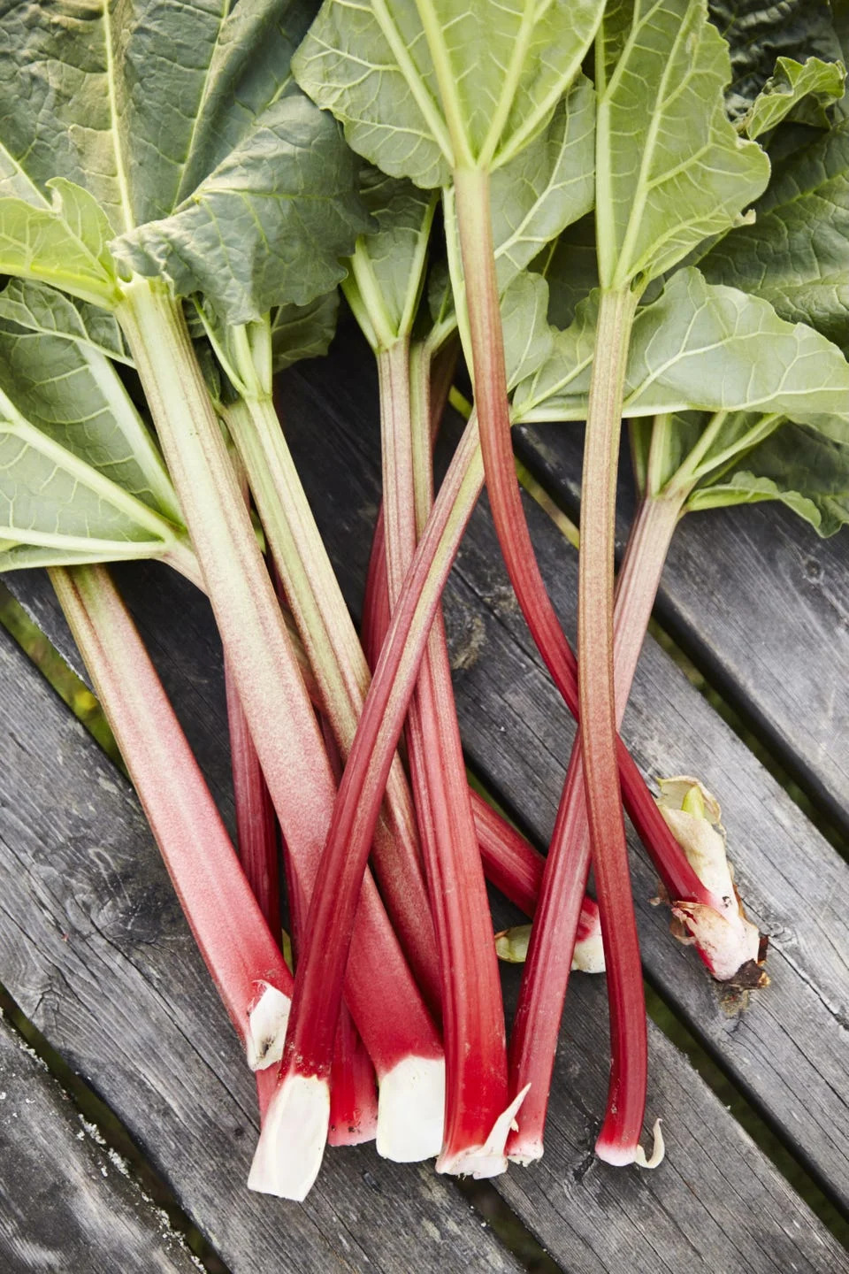 fresh rhubarb stalks with green leaves arranged on a wooden table