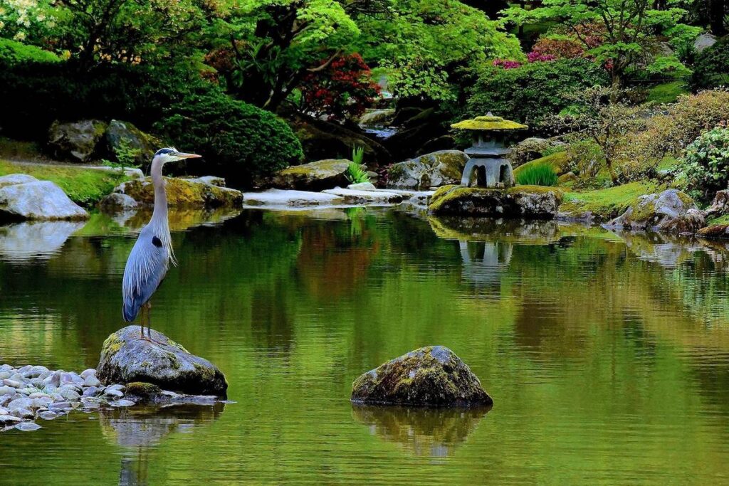 Seattle Japanese Garden