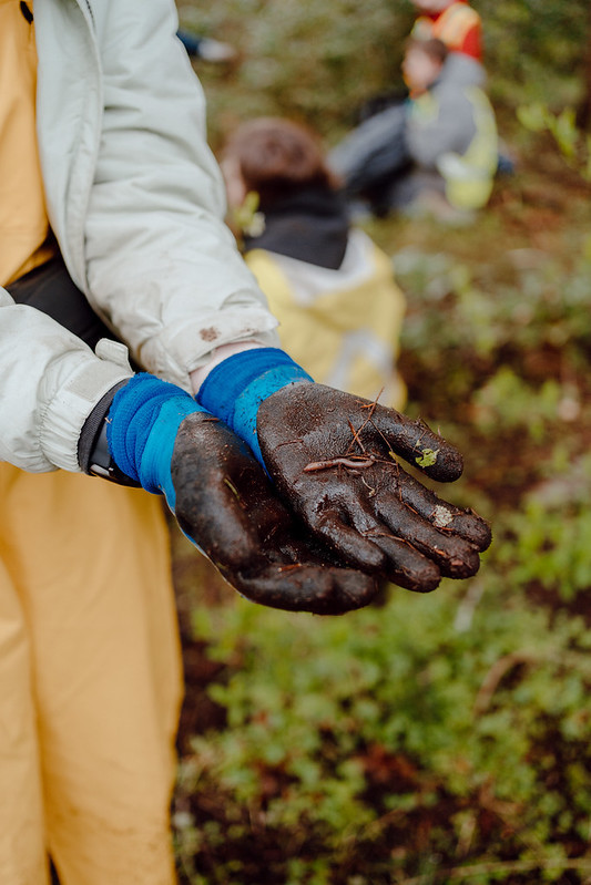 A person standing just out of frame, wearing garden gloves and holding a worm