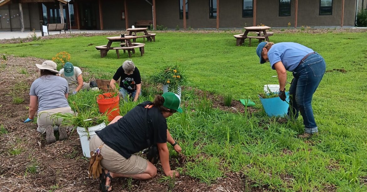 Garden Gang at Rowe Sanctuary
