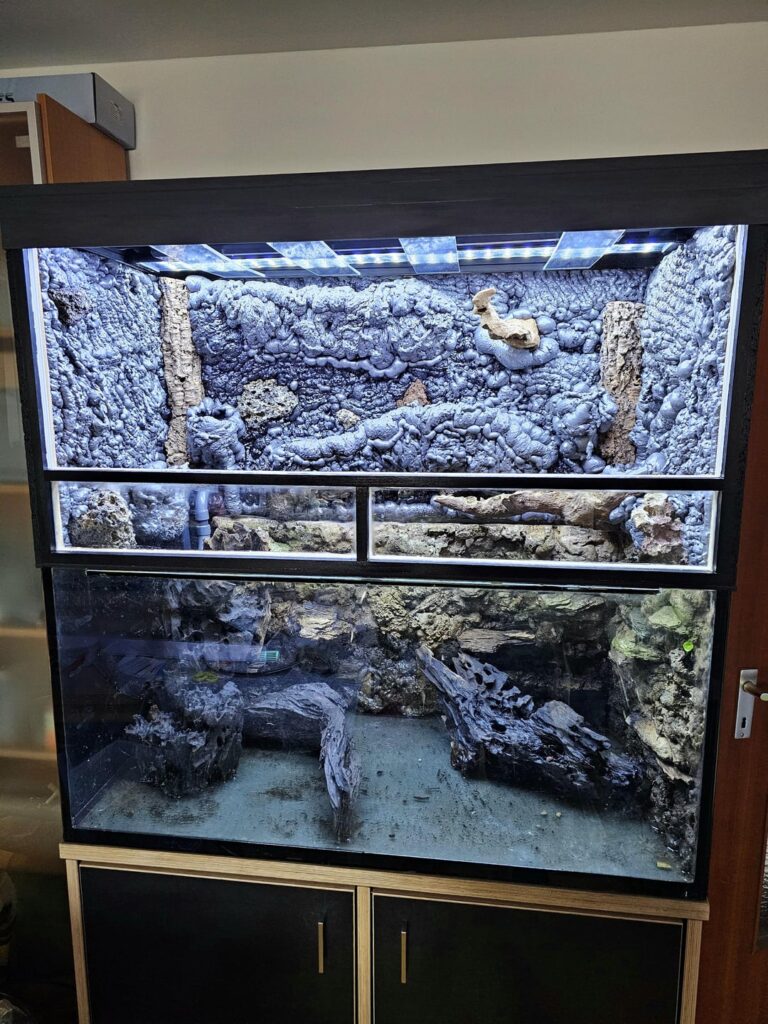 Vivarium Build Questions Vivarium Build Questions