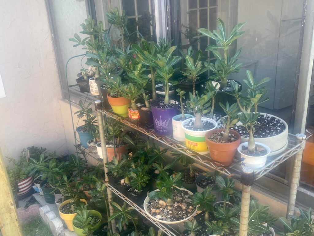 Do I have a problem?