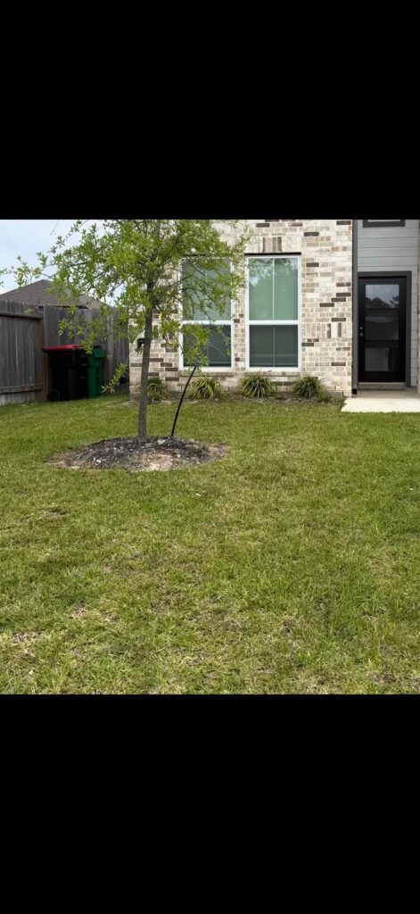 First landscaping project