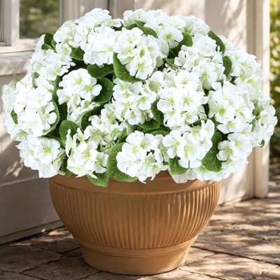 Florispera Artificial Flowers for Outdoors – 6 Bundles of Uv-Resistant Artificial Geraniums, Realistic Silk Flowers for Front Porch, Patio, Garden, Window Boxes & Hanging Baskets (white, 6)