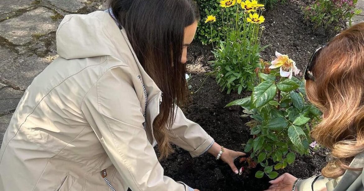 Bereaved parent ‘left in tears’ as plants and wooden hearts at baby memorial garden ‘ripped’ apart – The Irish News