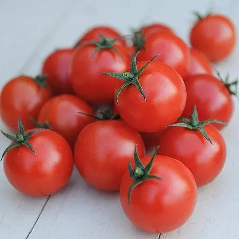 Are you planting tomatoes too early?