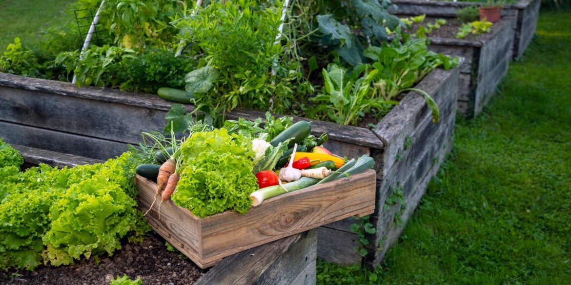 The "5-4-3-2-1 Method" Is the Expert-Approved Secret to Vibrant Summer Garden